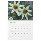 Pollinators Natuur Fotografie Kalender (Mar 2027)