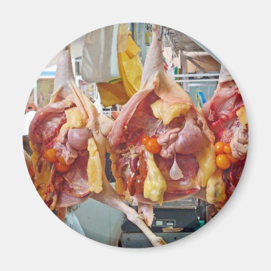 Pollo Magneet (Voorkant)