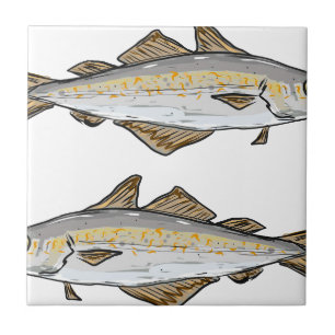 Pollock Fish Sketch Tegeltje