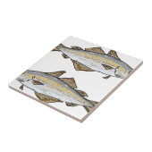 Pollock Fish Sketch Tegeltje (Zijkant)