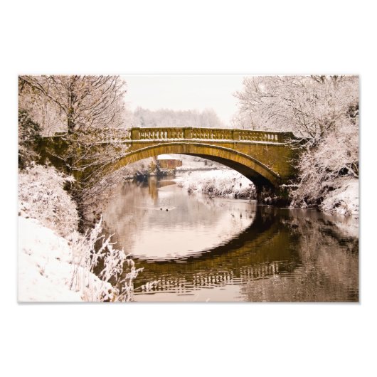 Pollok Park, Glasgow Fotodruk Foto Afdruk (Voorkant)