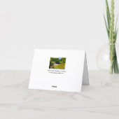 Pollok Park, Glasgow, Schotland Wenskaart Kaart (Achterkant)