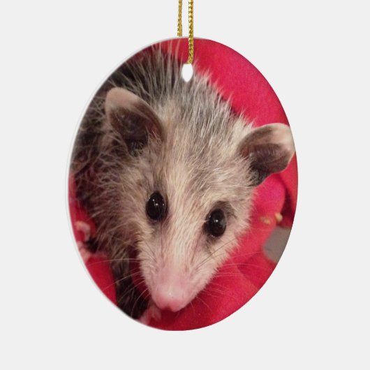 Polly Cute Baby Possum Keramisch Ornament (Rechts)