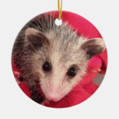 Polly Cute Baby Possum Keramisch Ornament (Voorkant)