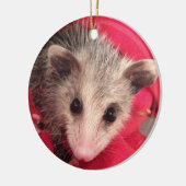 Polly Cute Baby Possum Keramisch Ornament (Links)