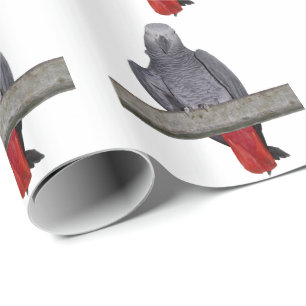 Polly Inpakpapier