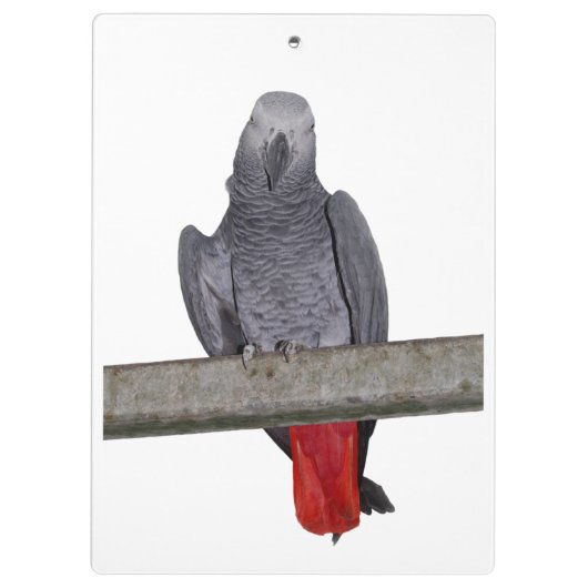 Polly Klembord (kies kleur) (Achterkant)