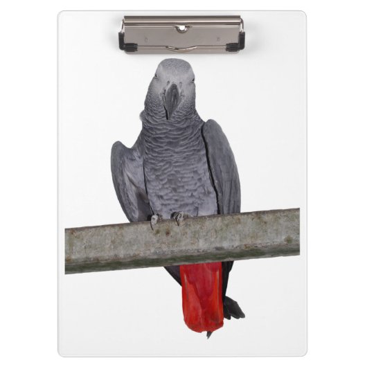 Polly Klembord (kies kleur) (Voorkant)