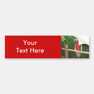 Polly Parrot — Gepersonaliseerde Bumpersticker