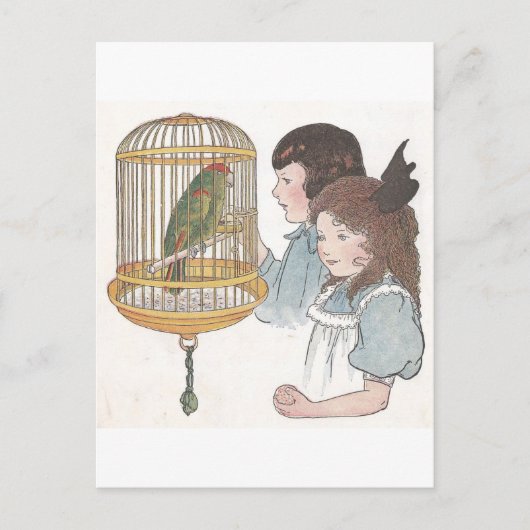 Polly the Parrot Briefkaart (Voorkant)