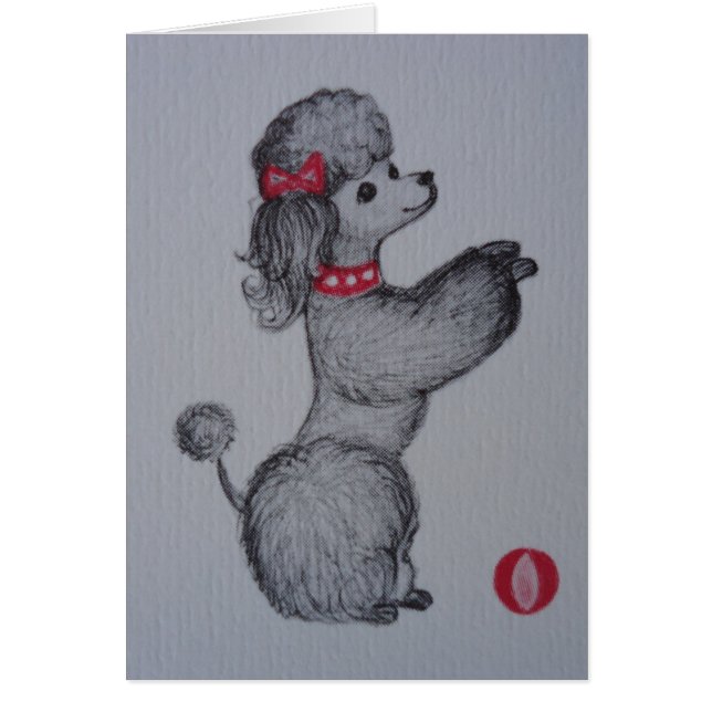 Polly the Poodle (Voorkant)