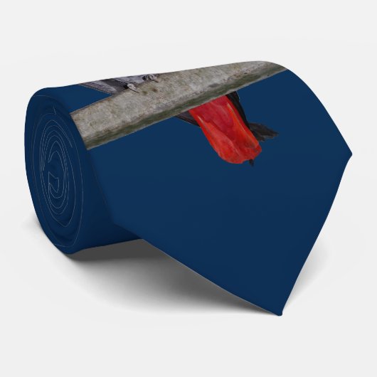 Polly Tie Double Sided Kleur (Marineblauw) Stropdas (Opgerold)