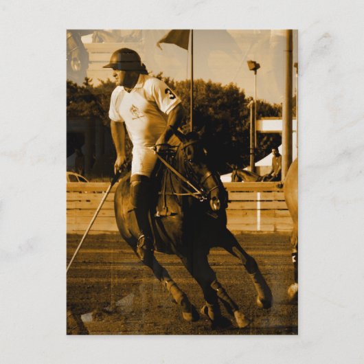Polo Briefkaart (Voorkant)