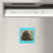 Polo de kat uit de magneet (Insitu (Vaatwasser))