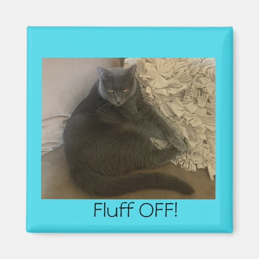 Polo de kat uit de magneet (Voorkant)