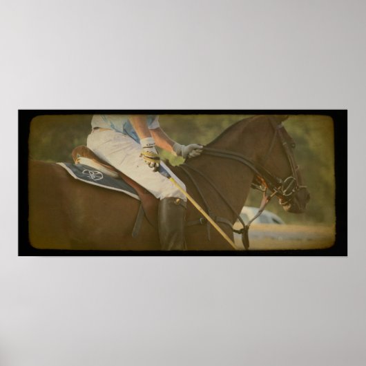 Polo Horse Poster (Voorkant)