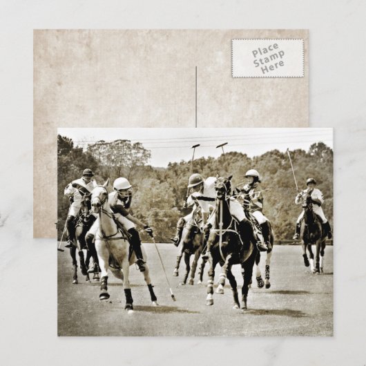 Polo Horses Galloping Briefkaart (Voorkant / Achterkant)