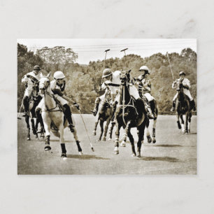 Polo Horses Galloping Briefkaart