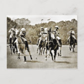 Polo Horses Galloping Briefkaart (Voorkant)