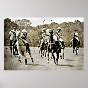 Polo Horses Galloping Poster