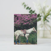 Polo Pony Await Chukker Briefkaart (Staand voorkant)