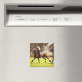 Polo Pony Magnet (Insitu (Vaatwasser))