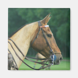 Polo Pony Magnet