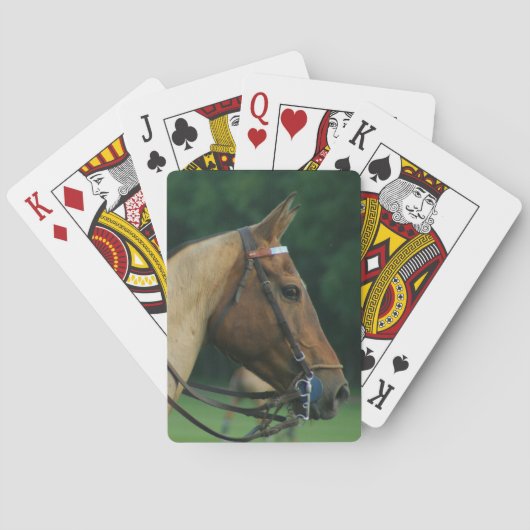 Polo Pony Playing Cards Pokerkaarten (Achterkant)