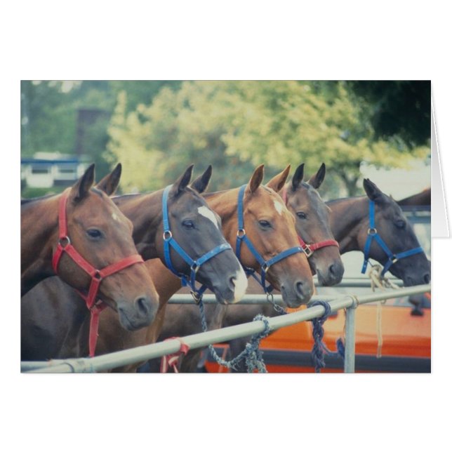 Polo Pony String (Voorkant Horizontaal)