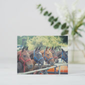 Polo Pony String Briefkaart (Staand voorkant)