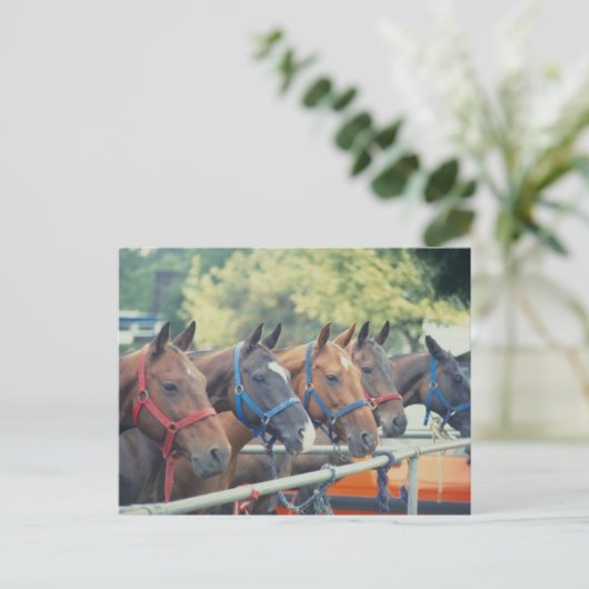 Polo Pony String Briefkaart (Staand voorkant)