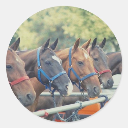 Polo Pony String Ronde Sticker (Voorkant)