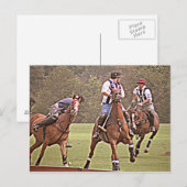 Polo Post Kaart (Voorkant / Achterkant)
