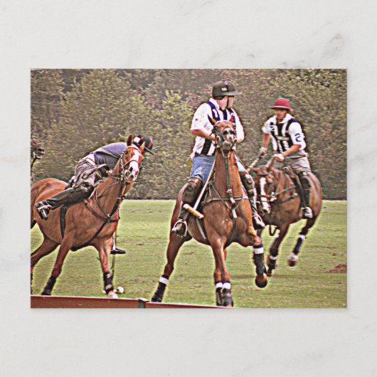 Polo Post Kaart (Voorkant)