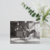 Polo Stables, 1933 Briefkaart (Staand voorkant)