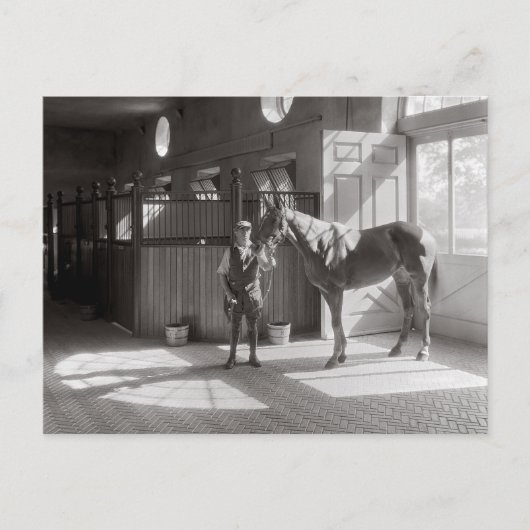 Polo Stallen, 1933 Briefkaart (Voorkant)
