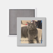 Polo the cat "Your voice makes my eye twitch! Magneet (Voorkant / Achterkant)