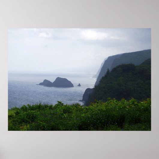 Pololu Valley Lookout, Hawaii, afdrukken Poster (Voorkant)
