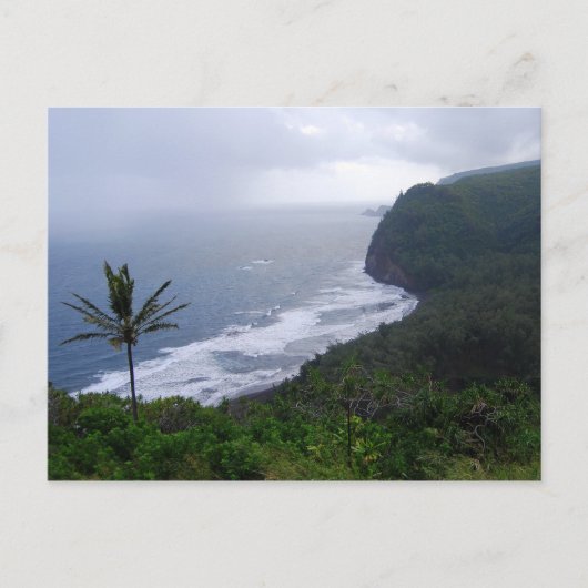 Pololu Valley Lookout met palmboom, Hawaii, Post Briefkaart (Voorkant)