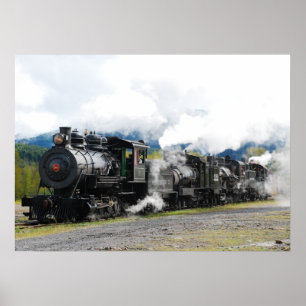Polson Logging Company Train Print