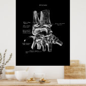 Polst Anatomy Medical Poster Orthopedisch Decor (Keuken)