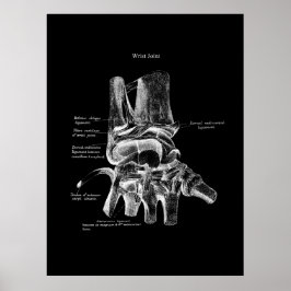 Polst Anatomy Medical Poster Orthopedisch Decor