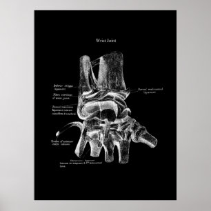 Polst Anatomy Medical Poster Orthopedisch Decor
