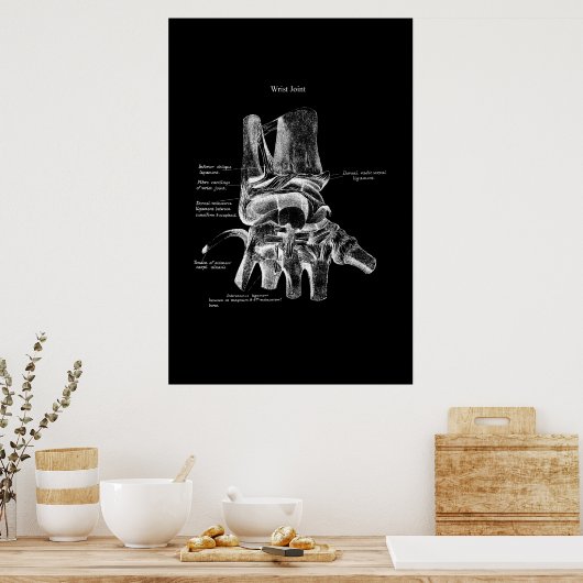 Polst Anatomy Medical Poster Orthopedisch Decor (Keuken)