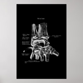 Polst Anatomy Medical Poster Orthopedisch Decor