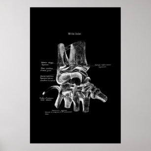 Polst Anatomy Medical Poster Orthopedisch Decor
