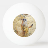 Poly Animals - Meerkat Pingpongbal (Voorkant)