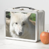 Poly Animals - Wolf (In situ)