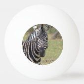 Poly Animals - Zebra Pingpongbal (Voorkant)