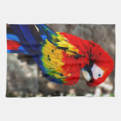 poly Parrot Theedoek (Horizontaal)